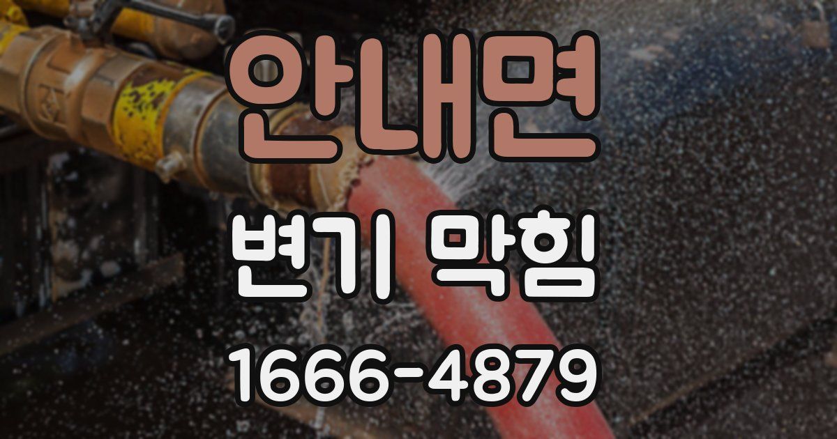 안내면 변기 막힘