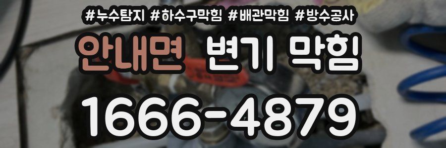 안내면 변기 막힘