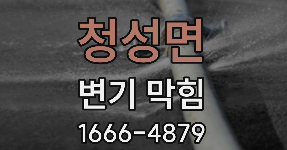 청성면 변기 막힘