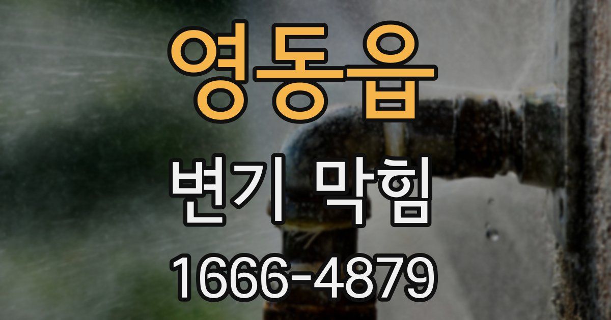 영동읍 변기 막힘