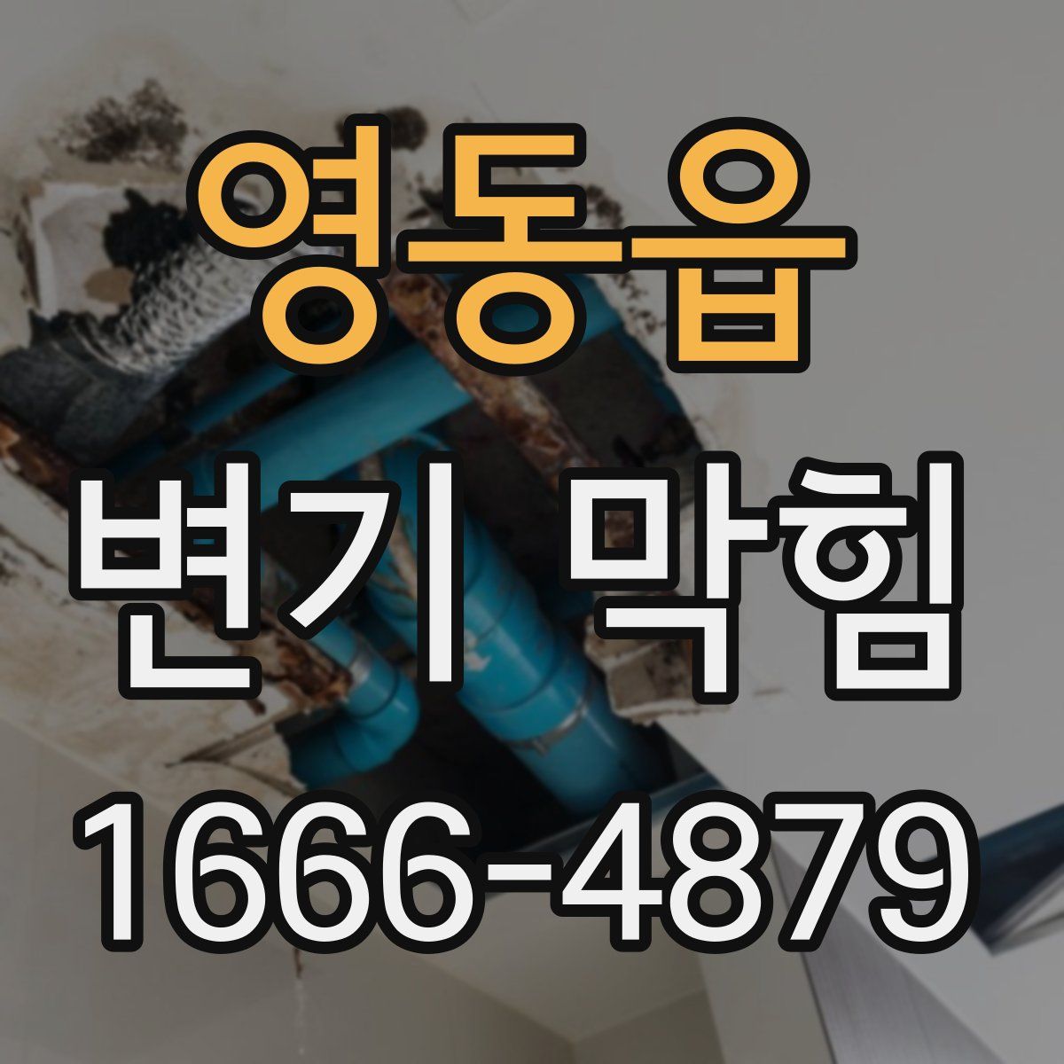 영동읍 변기 막힘