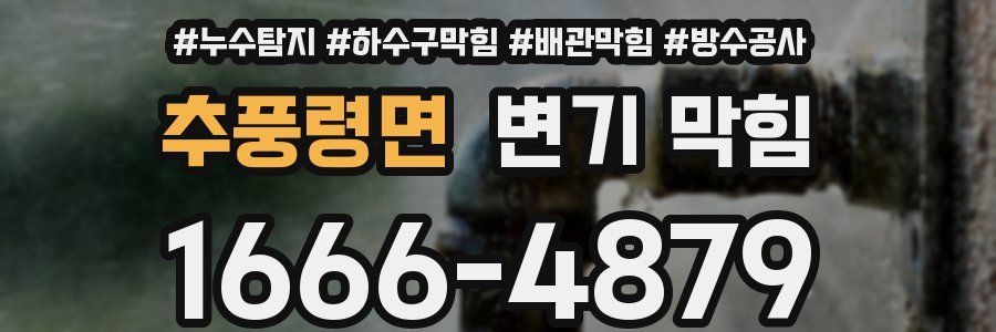 추풍령면 변기 막힘