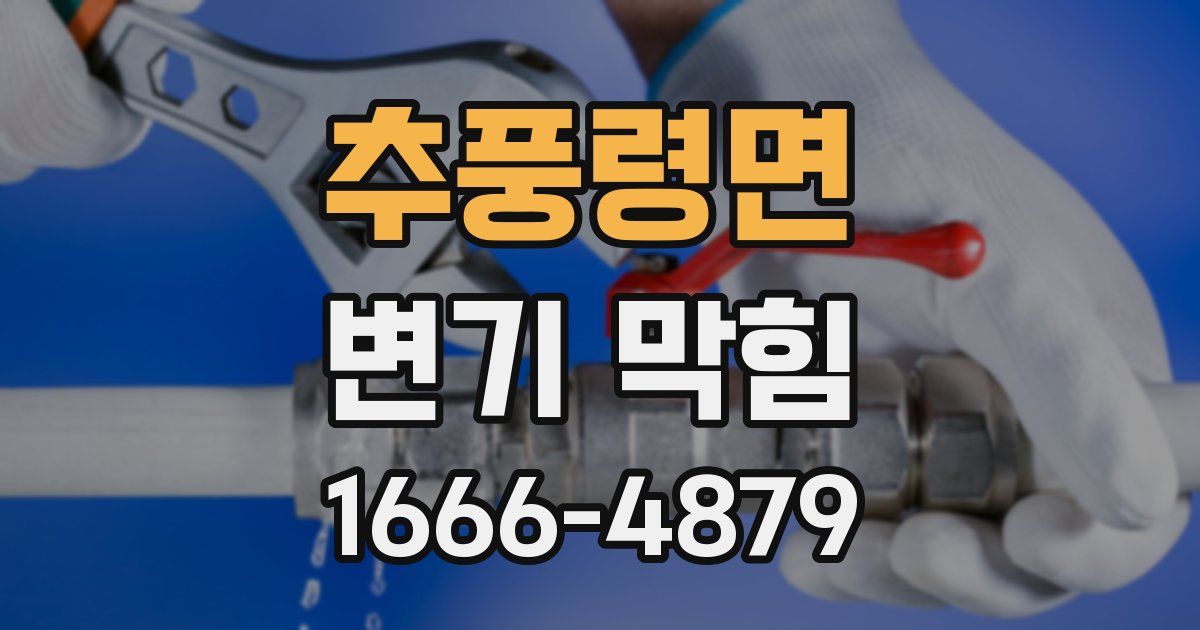 추풍령면 변기 막힘