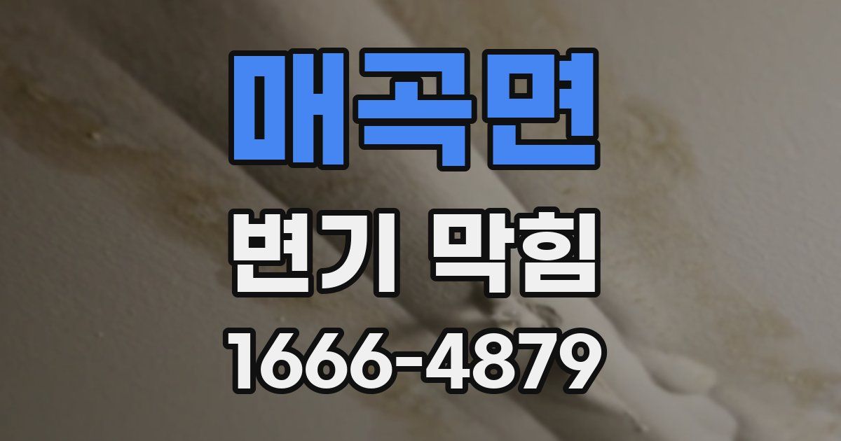 매곡면 변기 막힘