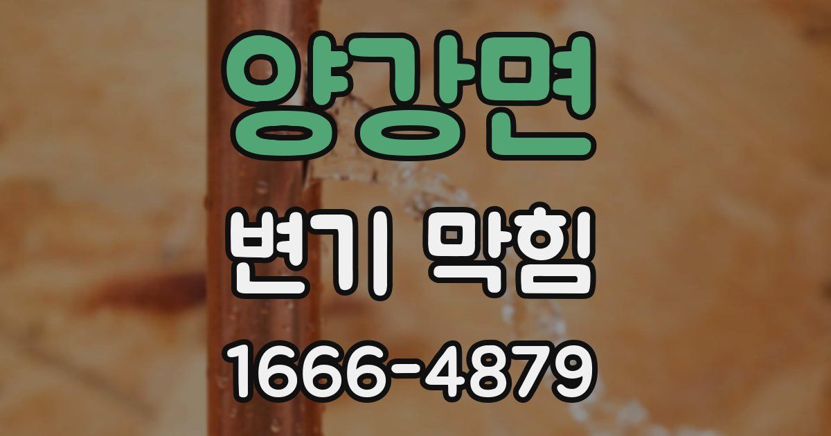 양강면 변기 막힘