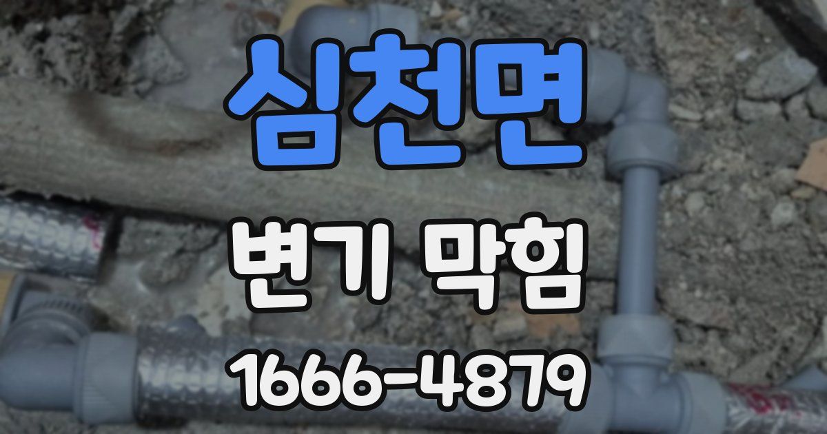 심천면 변기 막힘