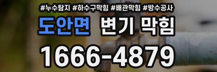 도안면 변기 막힘