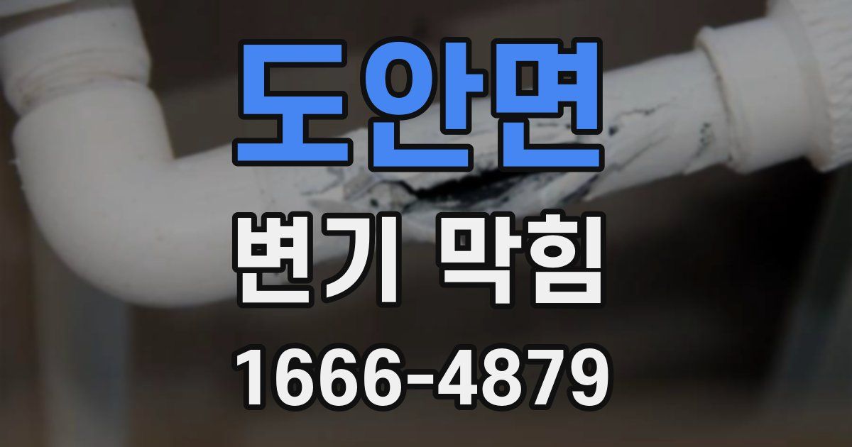 도안면 변기 막힘