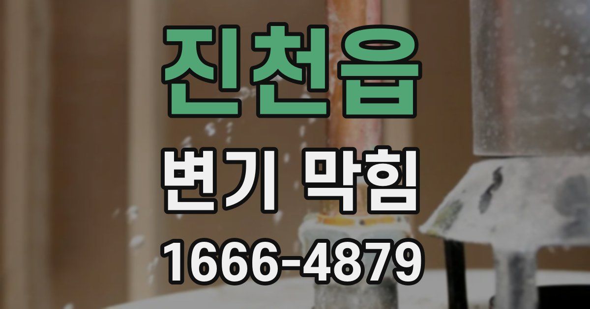 진천읍 변기 막힘