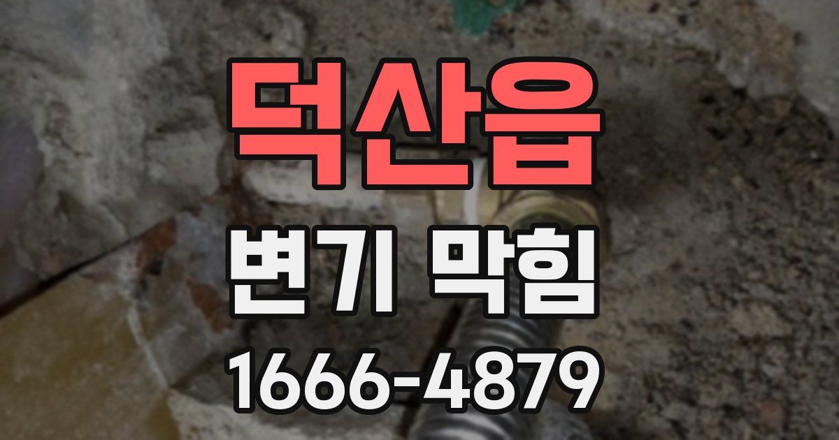 덕산읍 변기 막힘