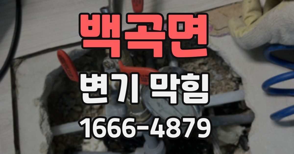 백곡면 변기 막힘