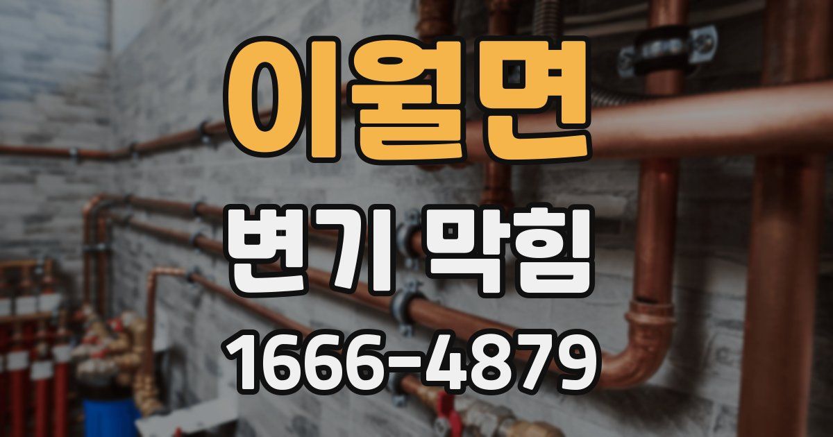 이월면 변기 막힘