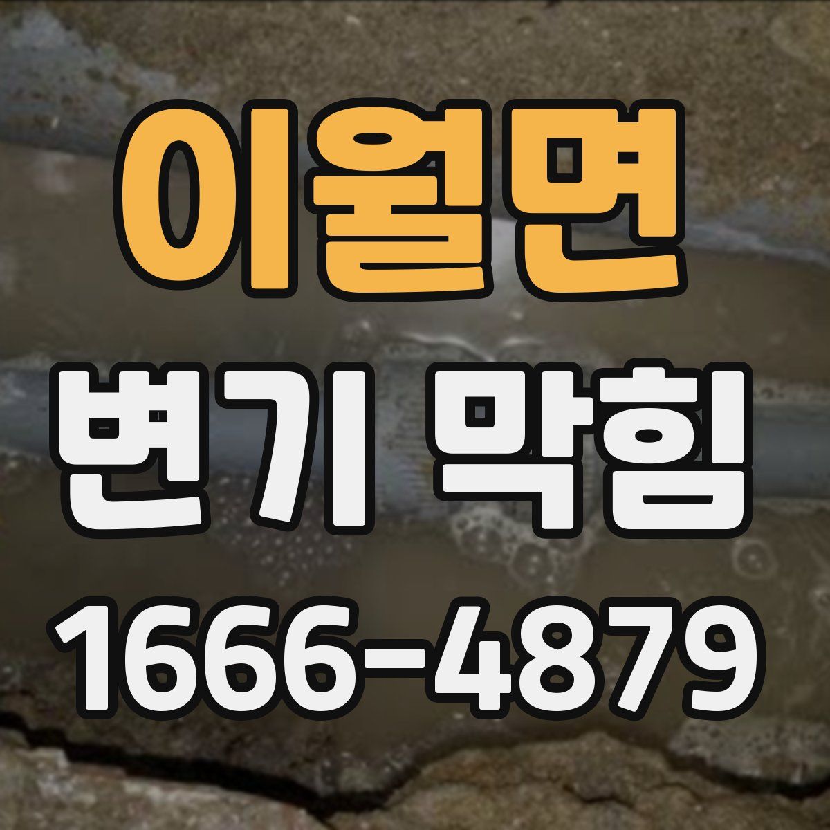 이월면 변기 막힘