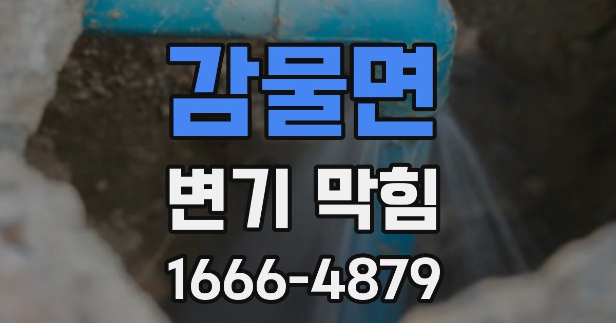 감물면 변기 막힘