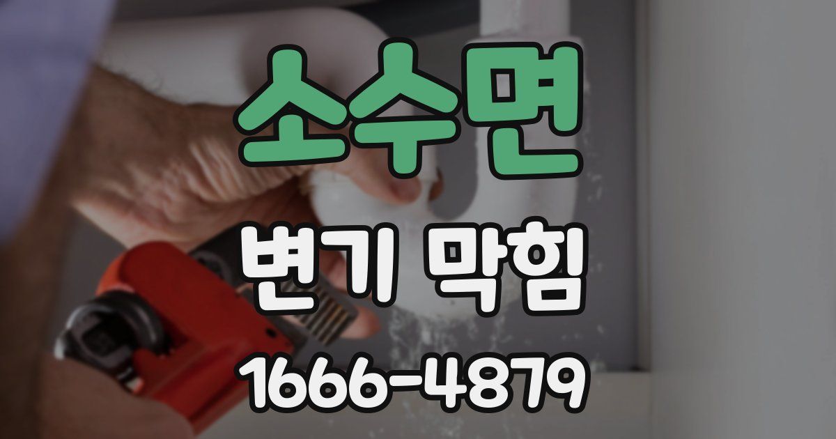 소수면 변기 막힘