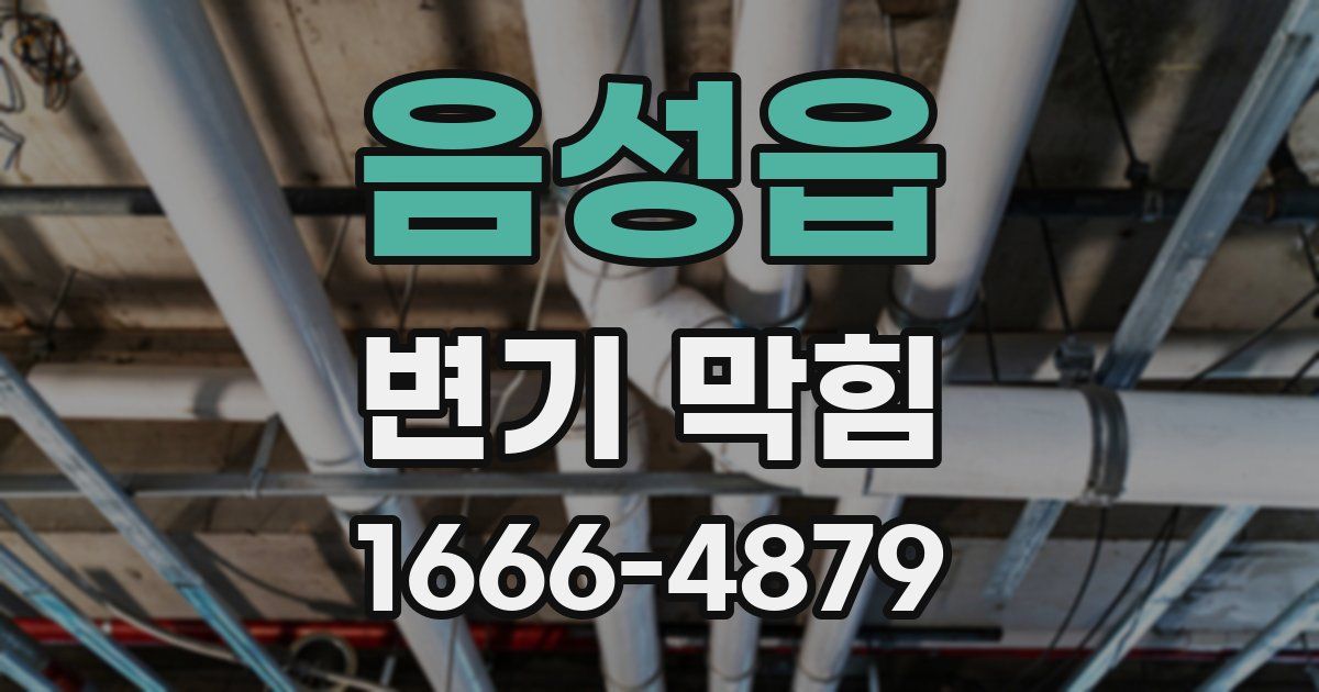 음성읍 변기 막힘