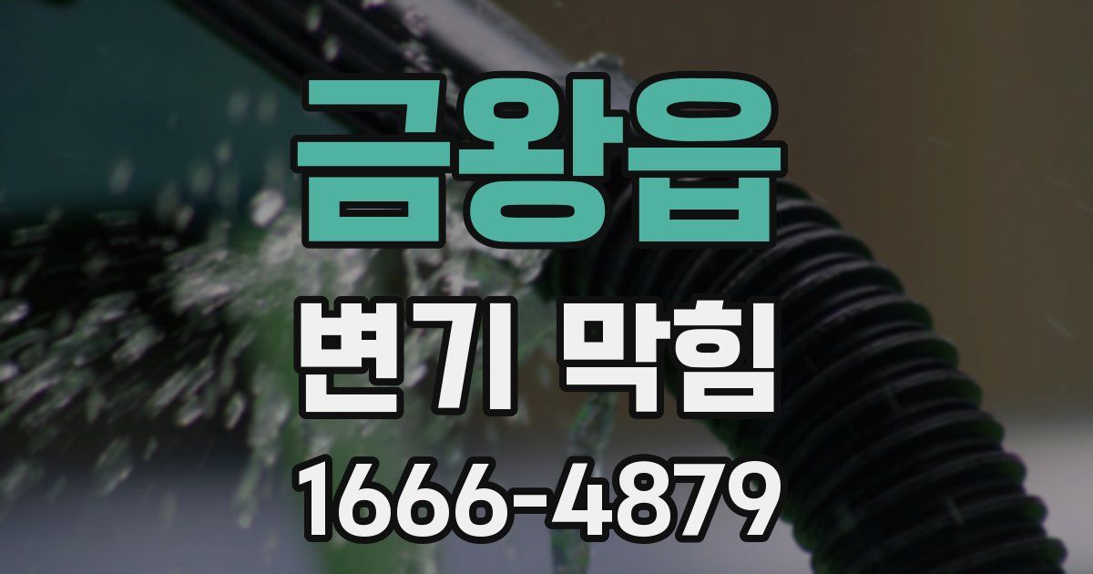 금왕읍 변기 막힘