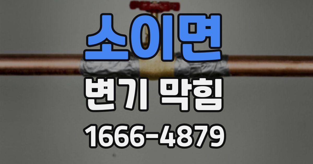 소이면 변기 막힘