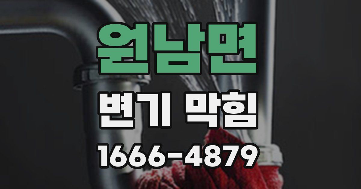 원남면 변기 막힘