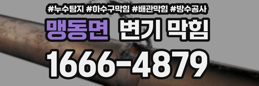 맹동면 변기 막힘