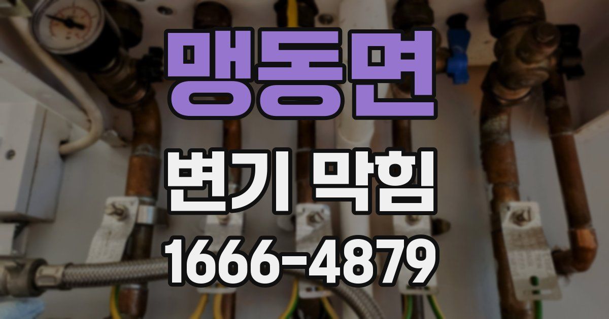 맹동면 변기 막힘