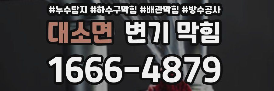 대소면 변기 막힘