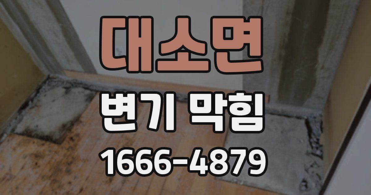 대소면 변기 막힘