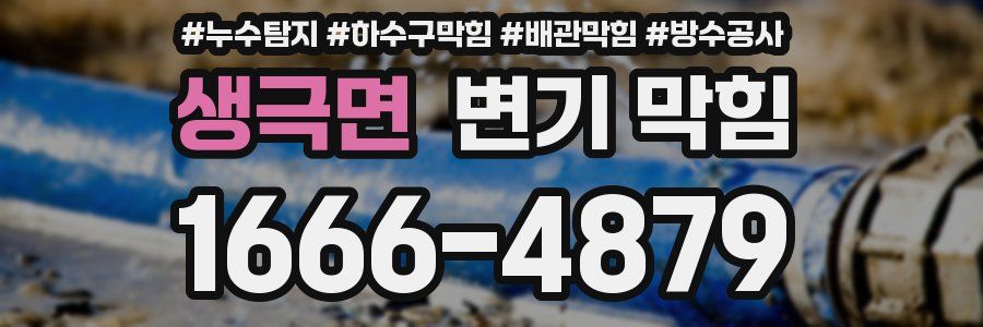 생극면 변기 막힘