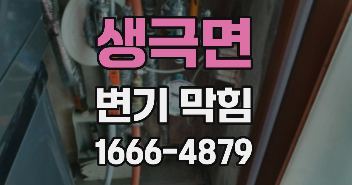 생극면 변기 막힘