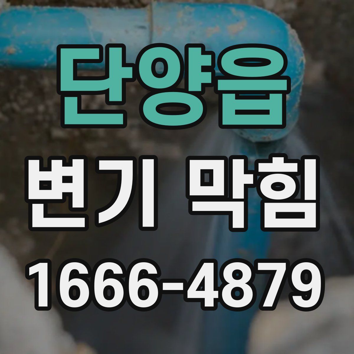 단양읍 변기 막힘