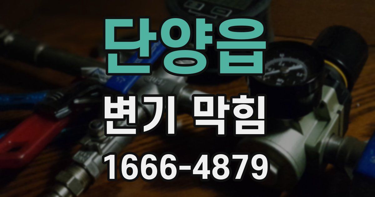 단양읍 변기 막힘