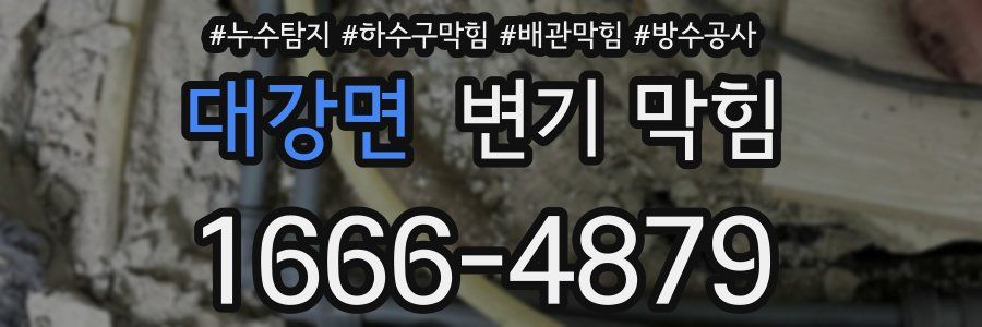 대강면 변기 막힘