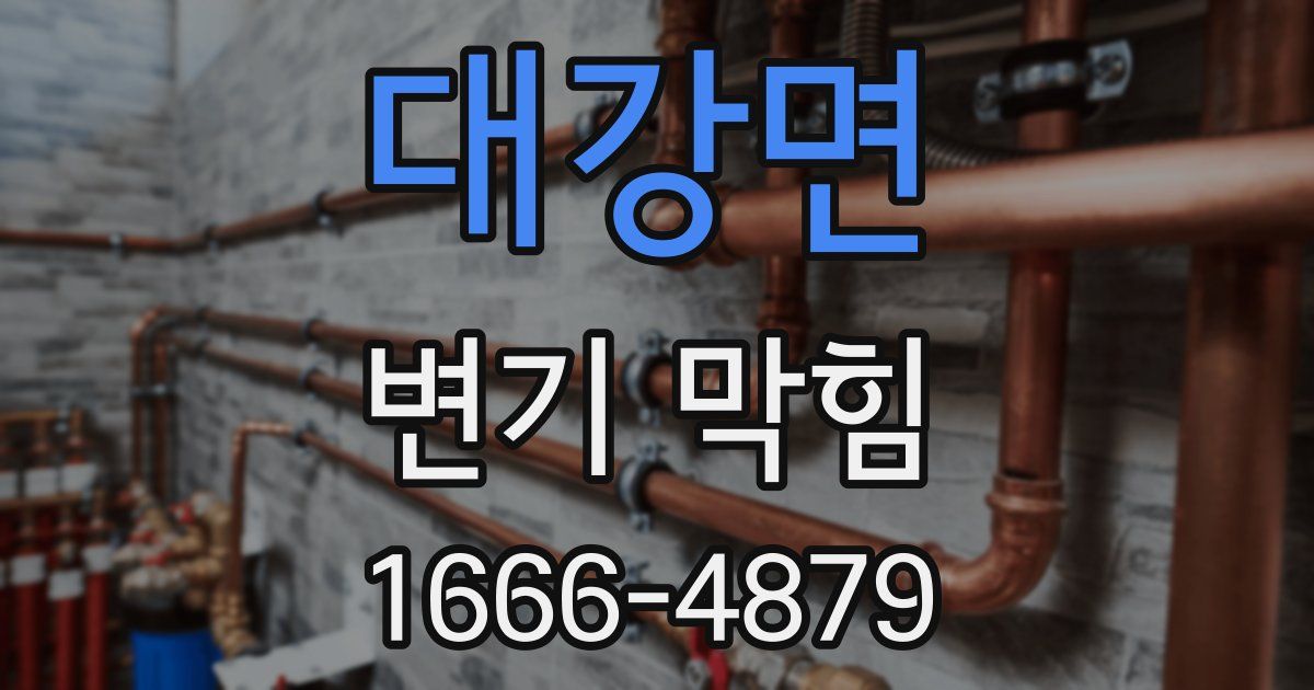 대강면 변기 막힘