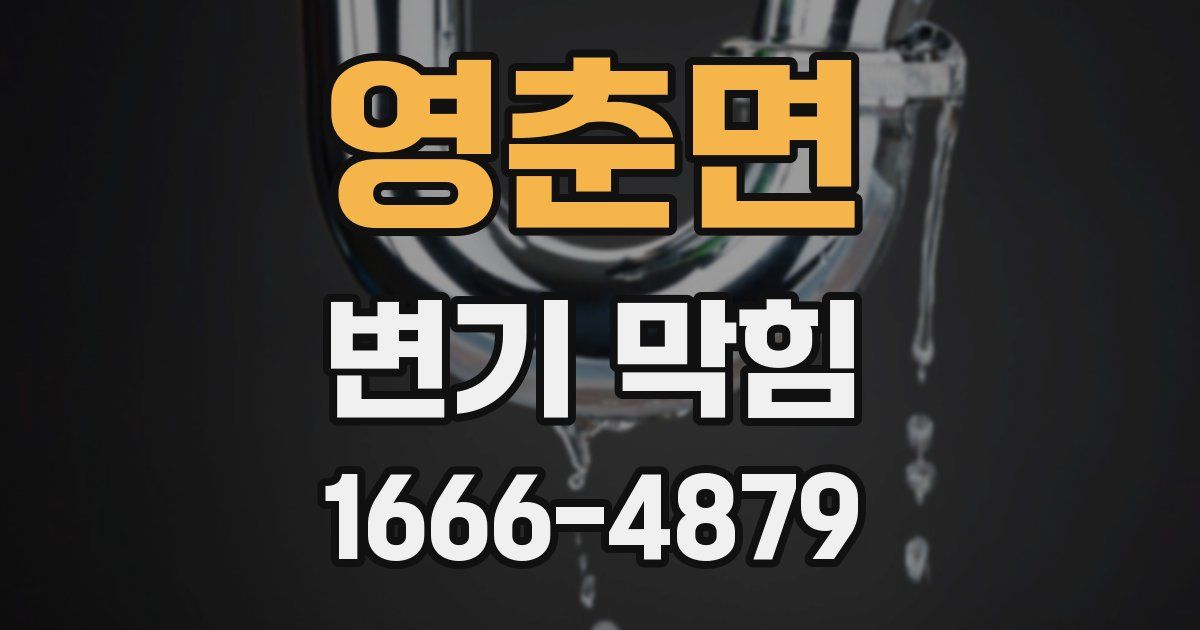 영춘면 변기 막힘