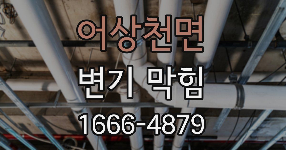 어상천면 변기 막힘