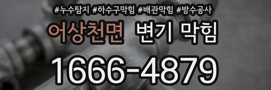 어상천면 변기 막힘