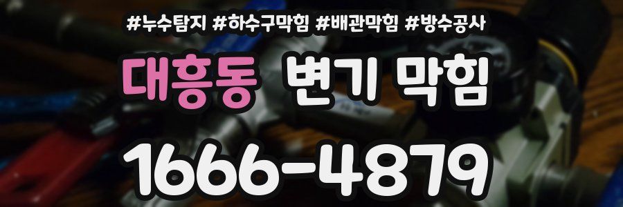대흥동 변기 막힘