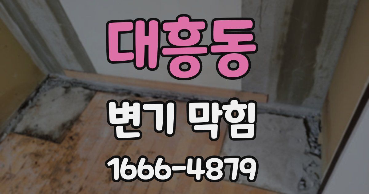 대흥동 변기 막힘