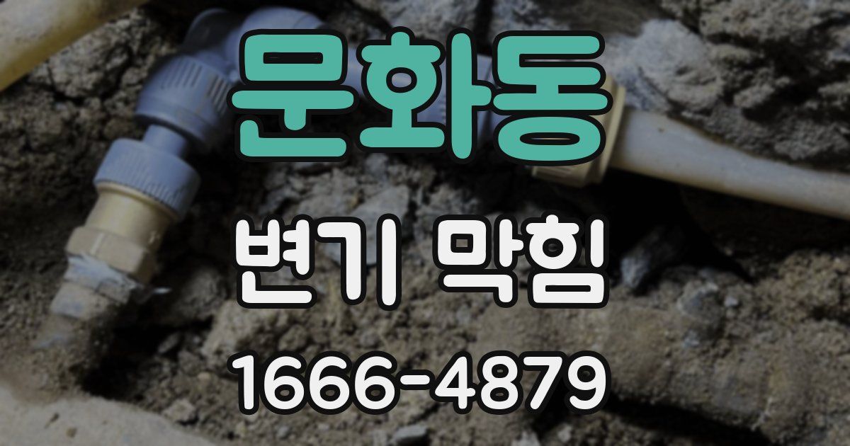 문화동 변기 막힘