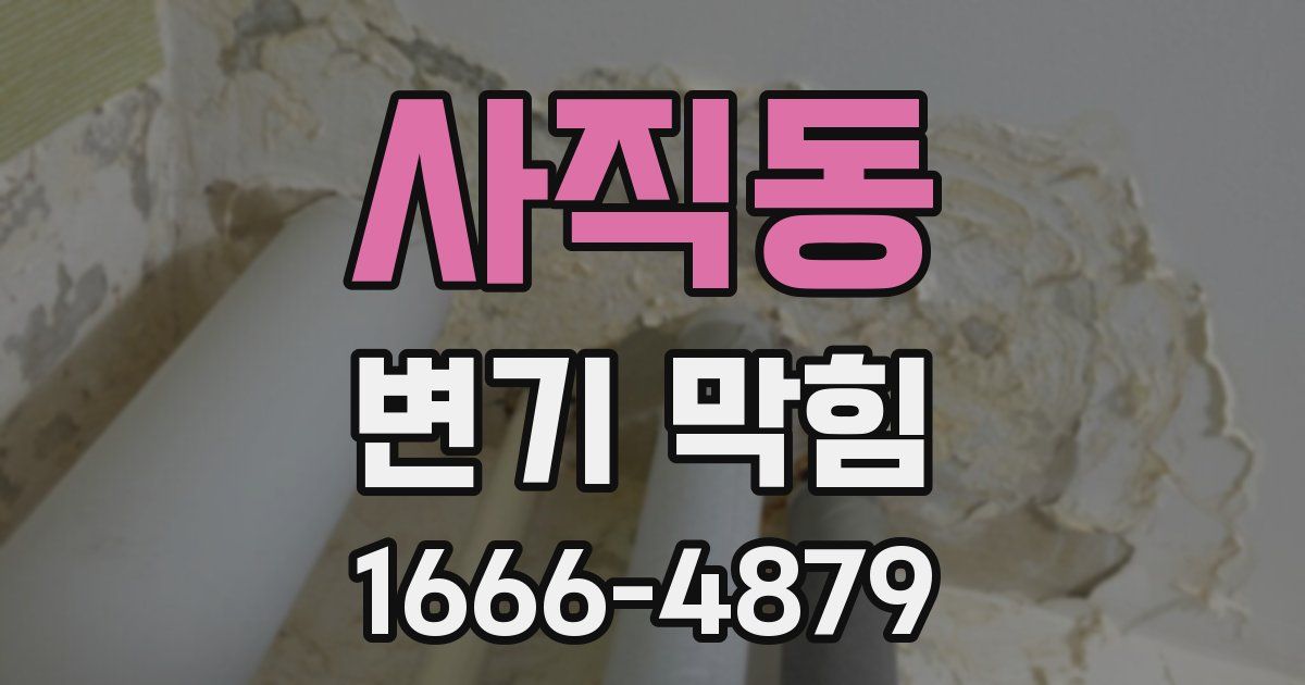 사직동 변기 막힘