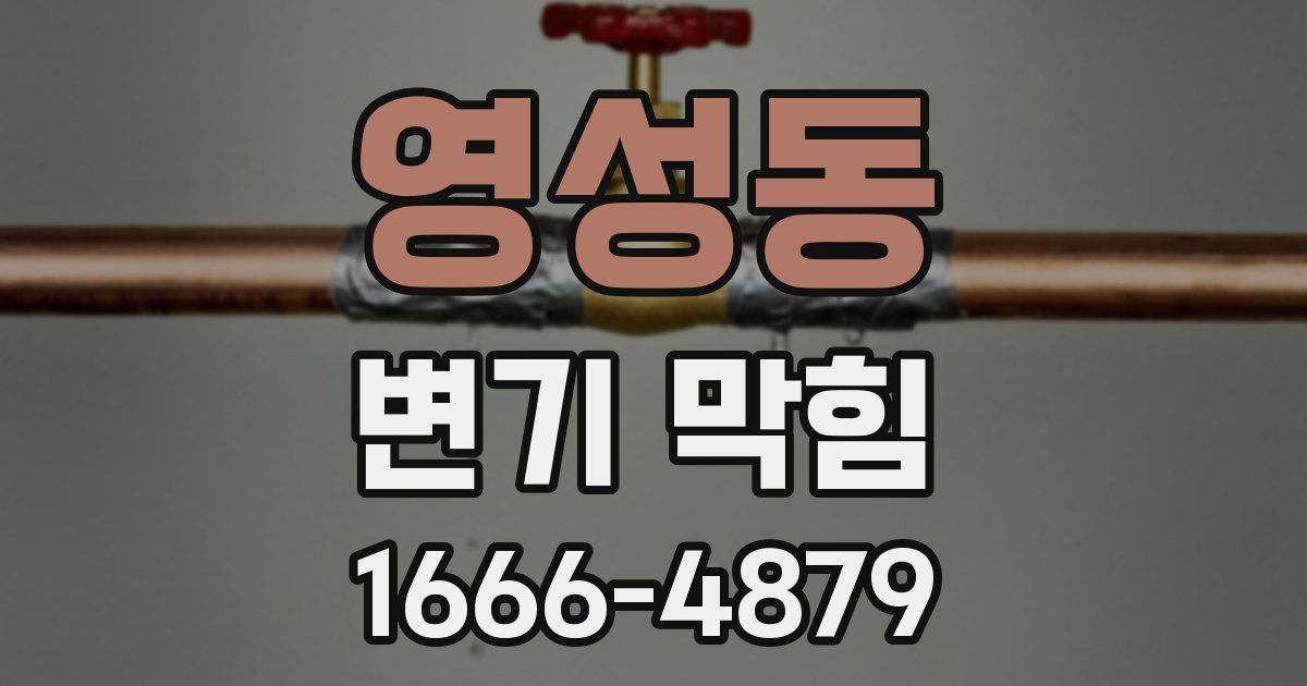 영성동 변기 막힘