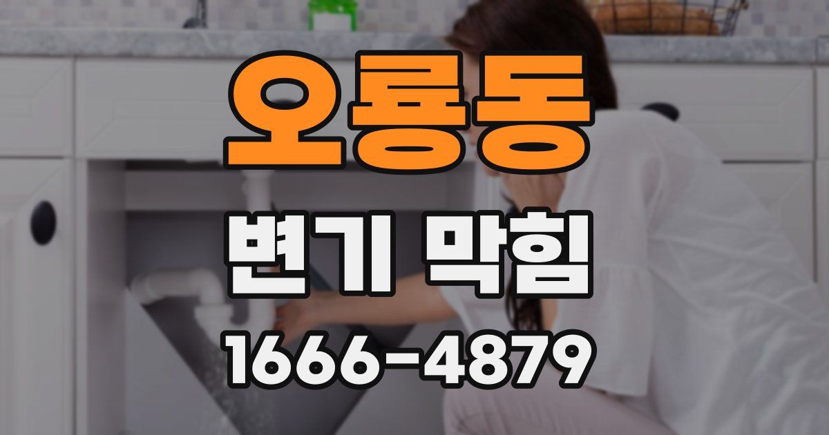 오룡동 변기 막힘