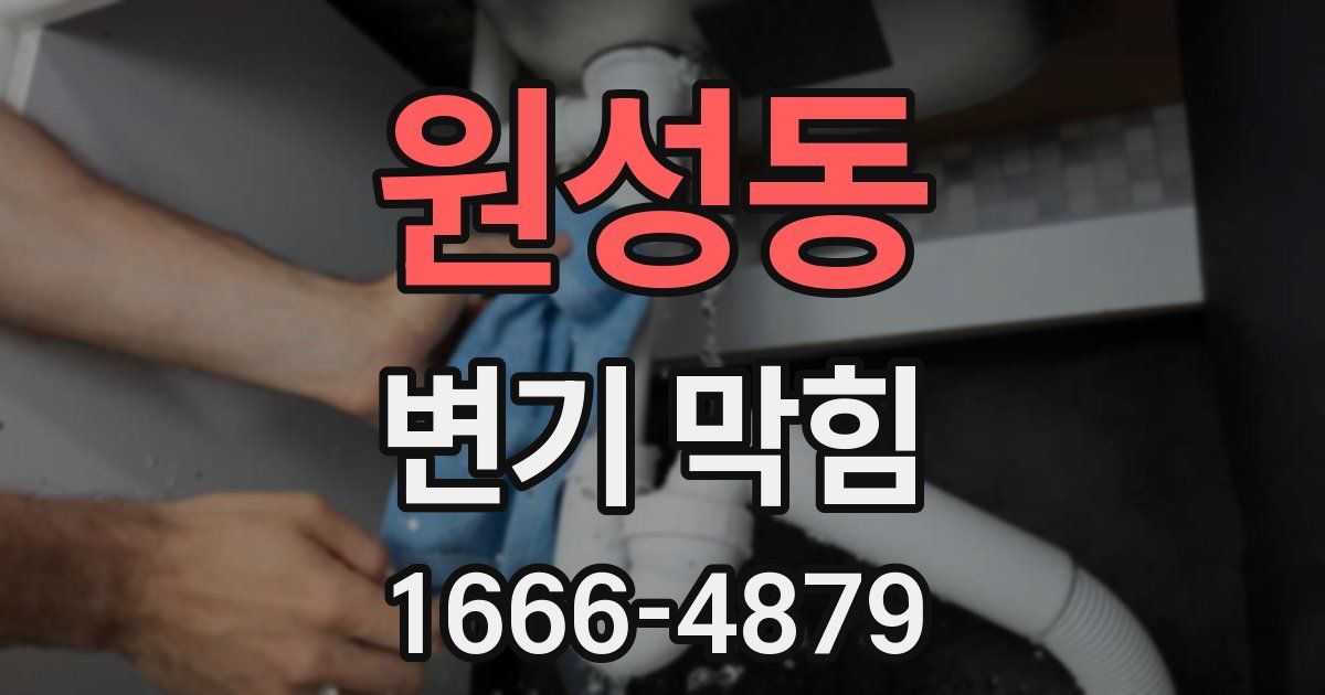 원성동 변기 막힘