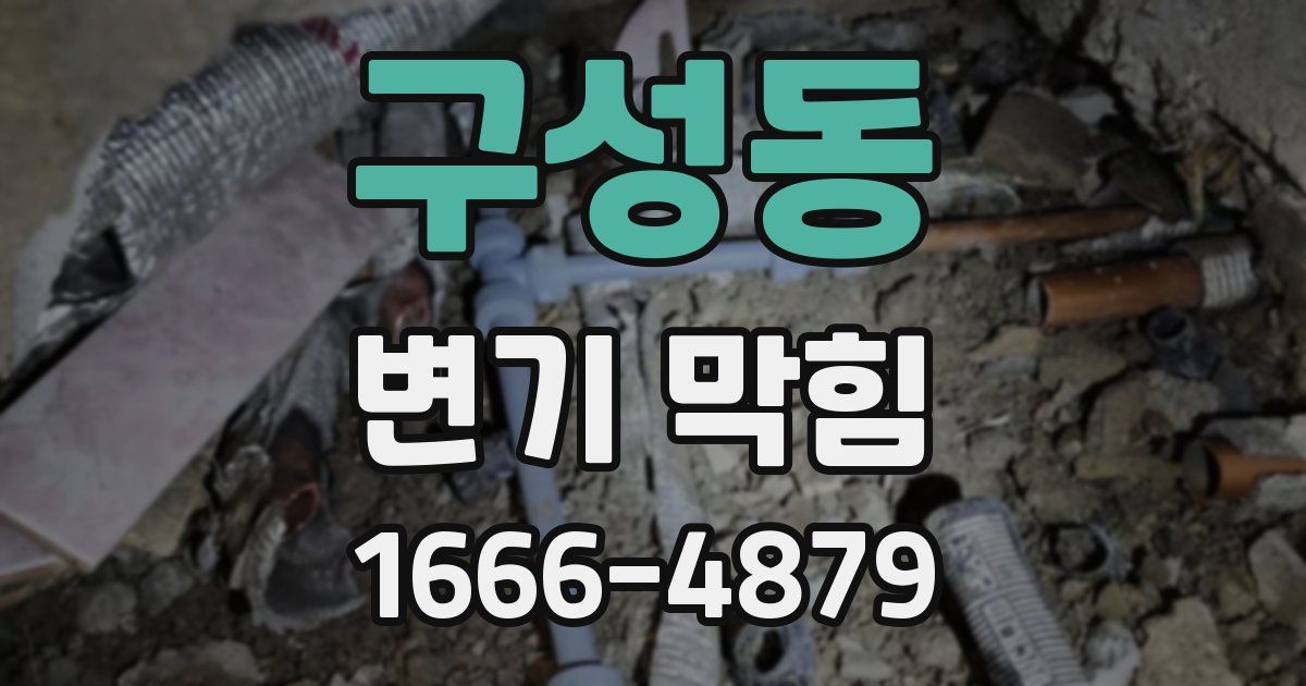 구성동 변기 막힘