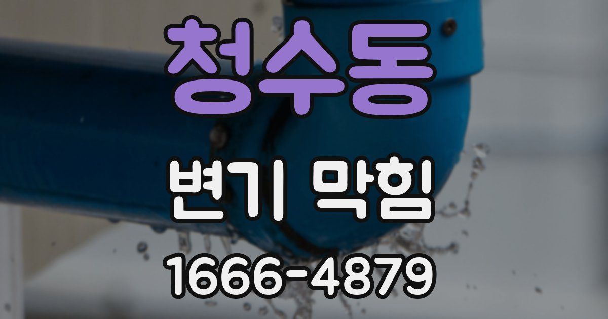 청수동 변기 막힘