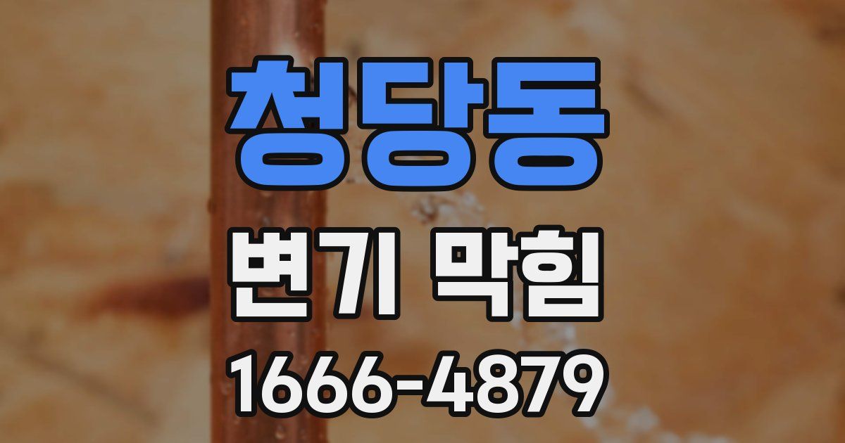 청당동 변기 막힘