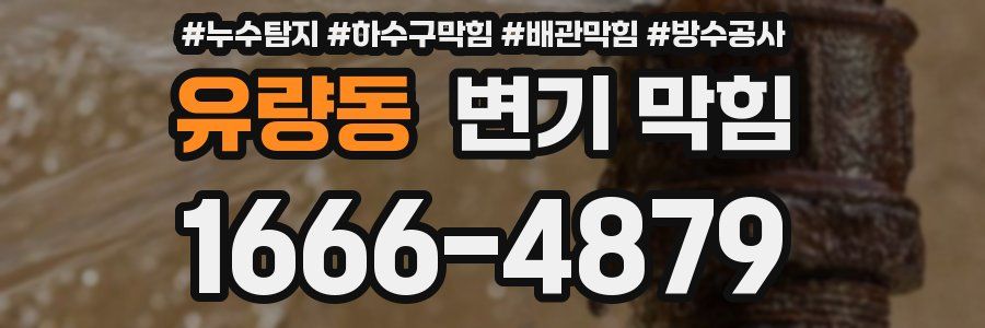 유량동 변기 막힘