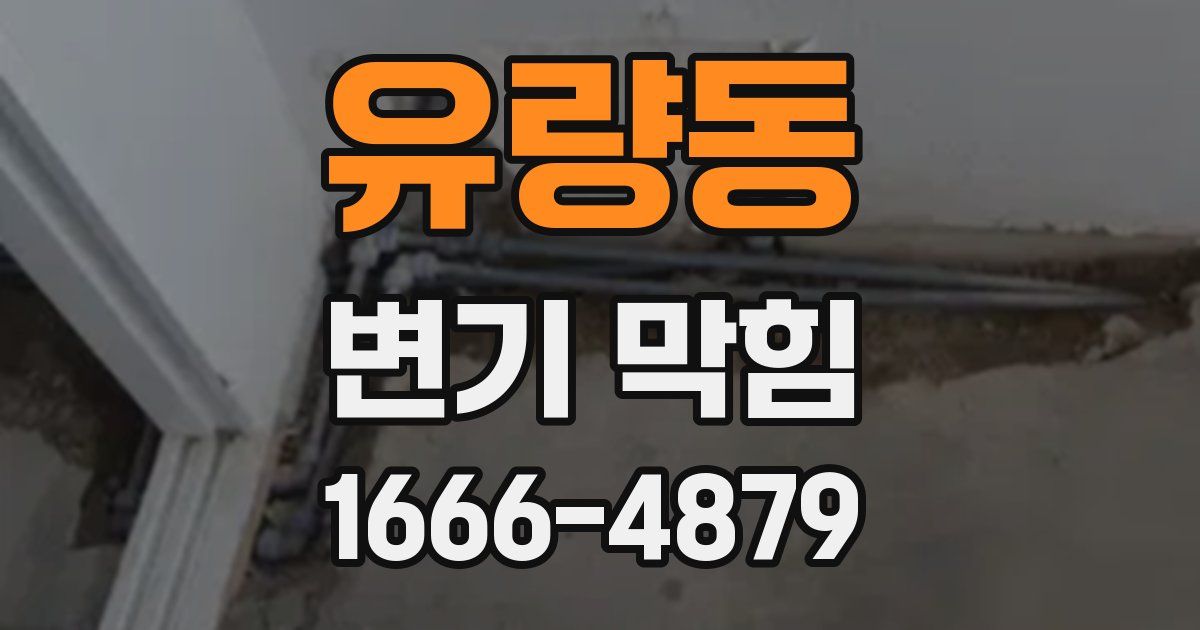 유량동 변기 막힘