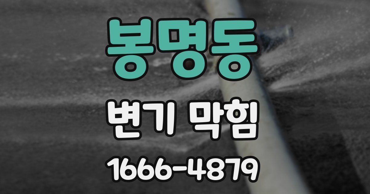 봉명동 변기 막힘