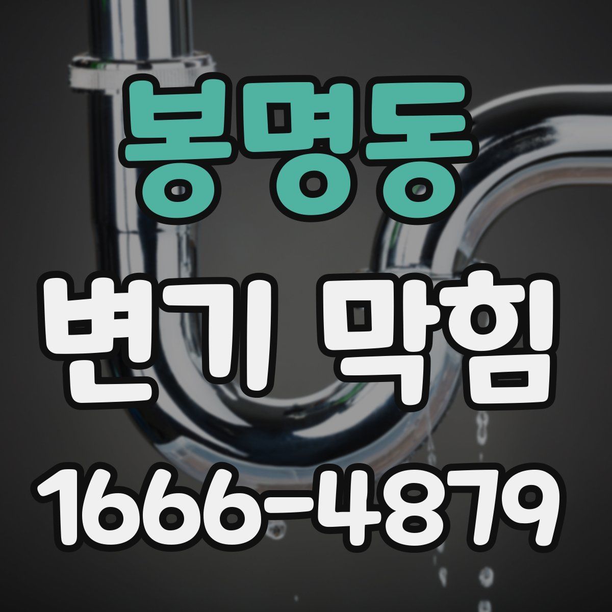 봉명동 변기 막힘